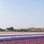 Cozy Dune-view Apartment De Zandloper
