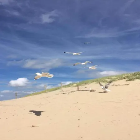 Cozy Dune-view 公寓 *
