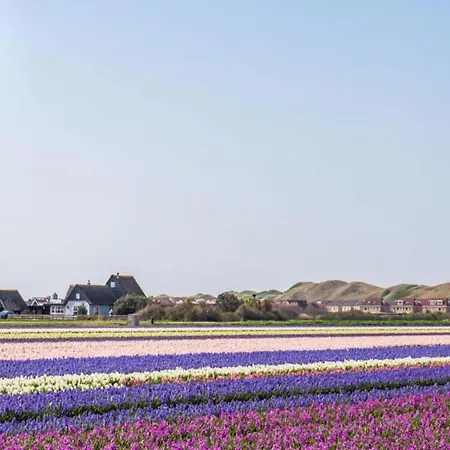 Cozy Dune-view 公寓 De Zandloper